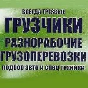 Грузовое такси Грузчики id 109896