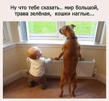 грузоперевозки газель заказать, бесплатное объявление частника с id 125022