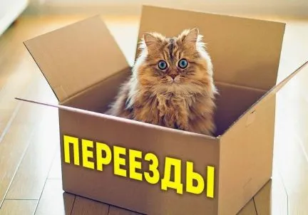 грузоперевозки газель заказать, бесплатное объявление частника с id 117317