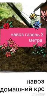 грузоперевозки газель заказать, бесплатное объявление частника с id 120582