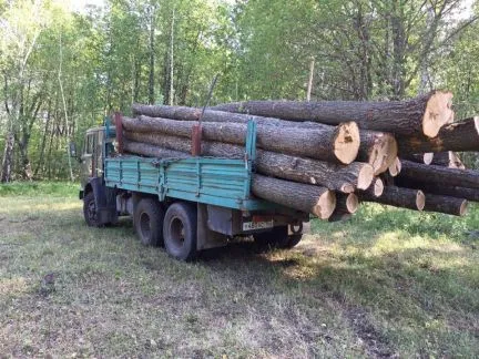 грузоперевозки газель заказать, бесплатное объявление частника с id 119801