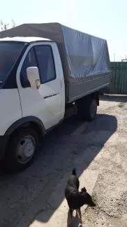 грузоперевозки газель заказать, бесплатное объявление частника с id 110039